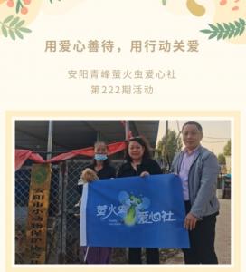用愛心善待，用行動關(guān)愛--青峰創(chuàng)元集團(tuán)螢火蟲愛心活動第222期報道
